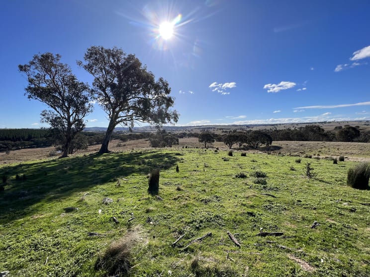 Lot 65/1911 Rugby Road Bevendale NSW 2581 - Image 3