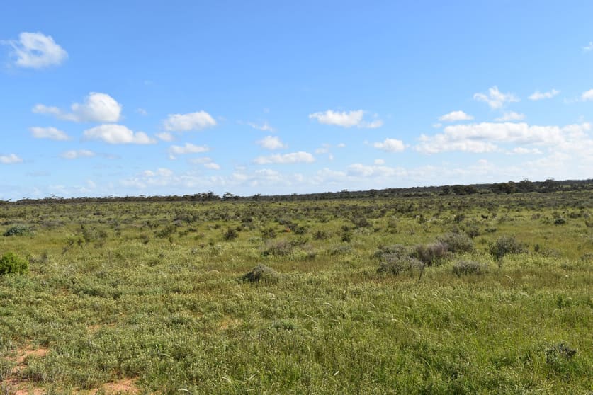 Click to view all images Lot 158 Old Loxton Road Swan Reach SA 5354 - Image 1