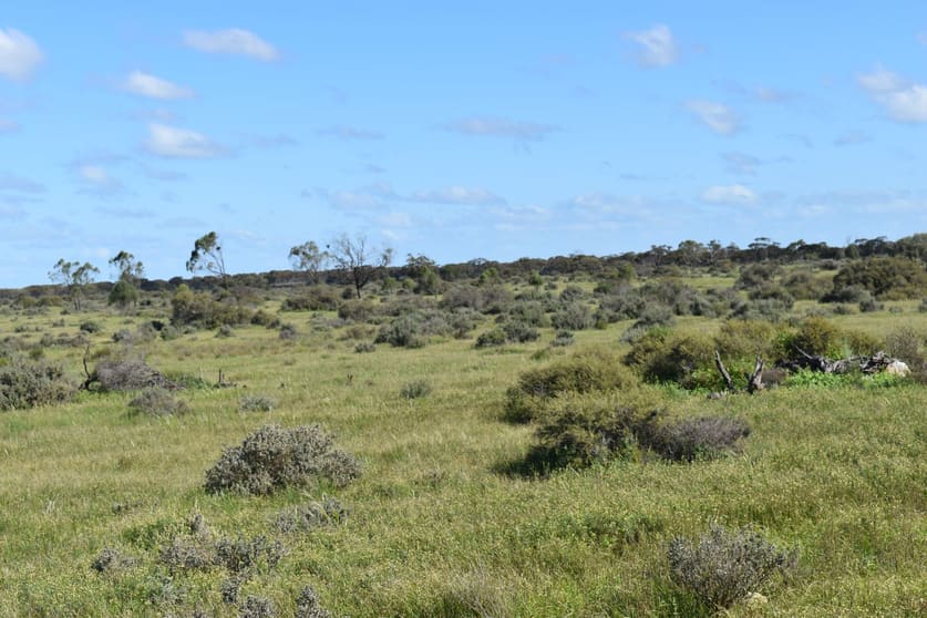 Click to view all images Lot 158 Old Loxton Road Swan Reach SA 5354 - Image 3