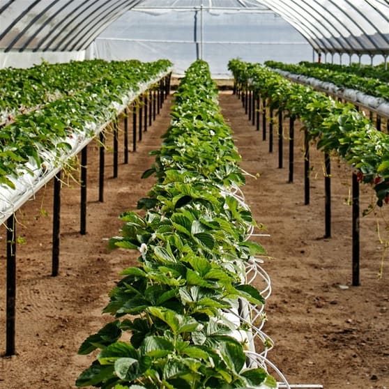 Agricultural  business for sale in Hobart - Image 1