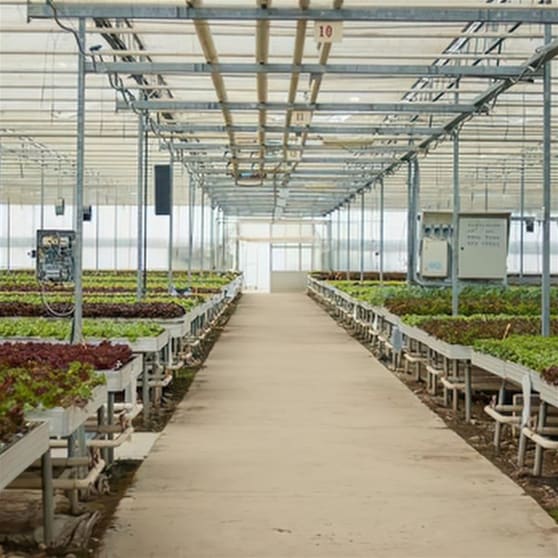 Agricultural  business for sale in Hobart - Image 2