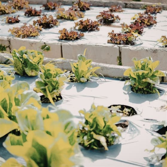 Agricultural  business for sale in Hobart - Image 3