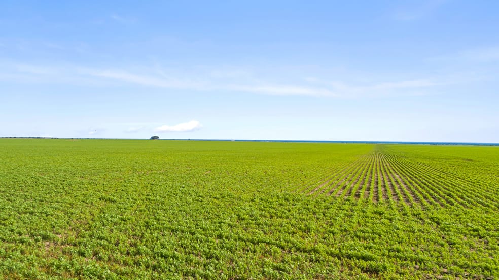 Click to view all images 'JP's' Allotment 58 Spencer Highway Koolywurtie SA 5575 - Image 1