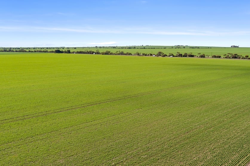 Click to view all images 'JP's' Allotment 58 Spencer Highway Koolywurtie SA 5575 - Image 2