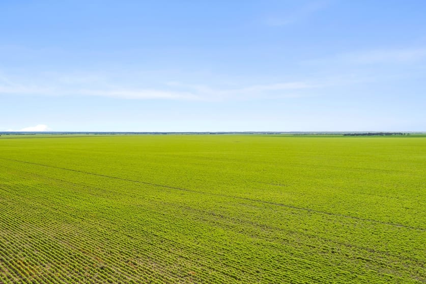 Click to view all images 'JP's' Allotment 58 Spencer Highway Koolywurtie SA 5575 - Image 3