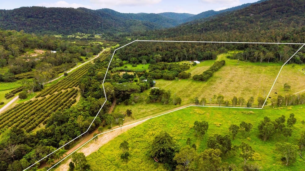 580 Saltwater Creek Road Palm Grove QLD 4800 - Image 3