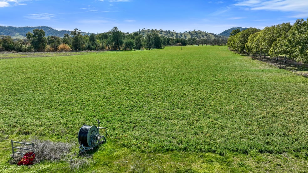 "The Oaks" 4 Magnesite Rd Tamworth NSW 2340 - Image 3