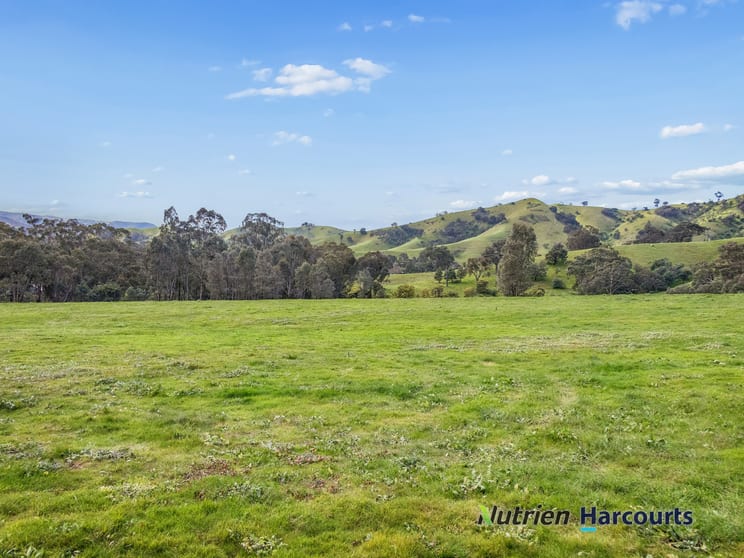 Click to view all images 715 King Parrot Creek Road Strath Creek VIC 3658 - Image 2
