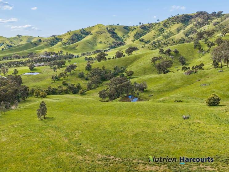 Click to view all images 715 King Parrot Creek Road Strath Creek VIC 3658 - Image 3