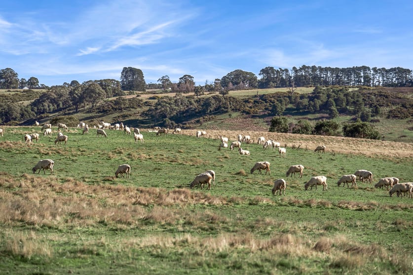 Click to view all images 724 Springhill Road Spring Hill VIC 3444 - Image 2