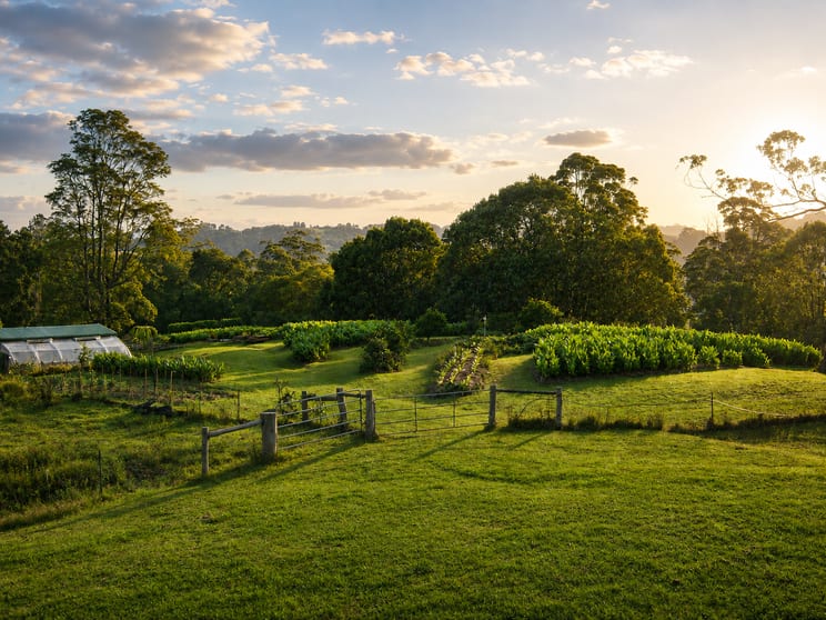 Click to view all images 202 Terania Creek Road The Channon NSW 2480 - Image 3