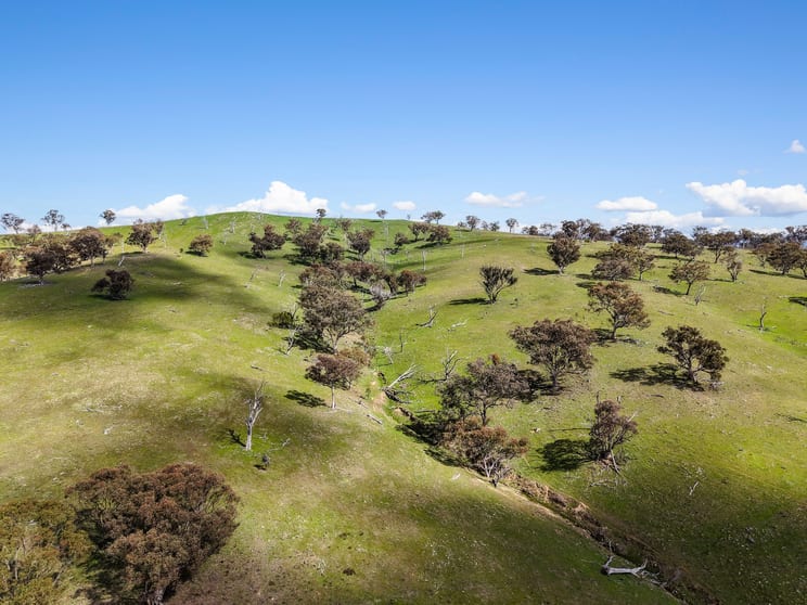 Click to view all images Lot 1301, Queens Pinch Road Mudgee NSW 2850 - Image 3