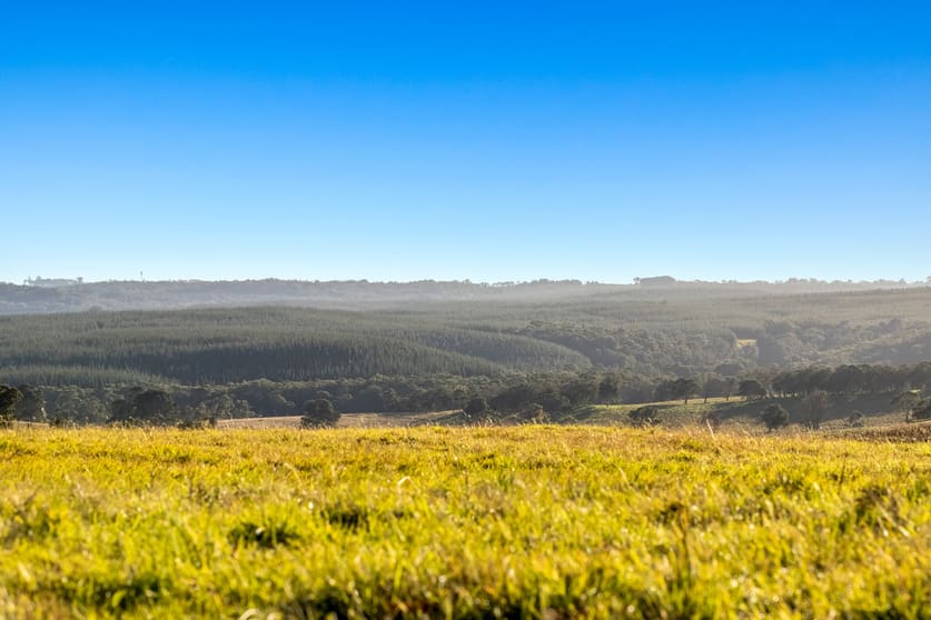 Click to view all images Wingello NSW 2579 - Image 3
