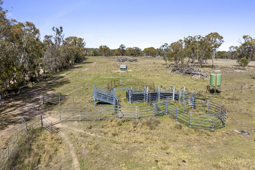 1953 Rabbit Fence Road Dalveen QLD 4374 - Image 2