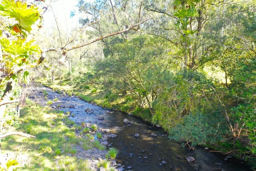 Click to view all images 2134 Collins Creek Road Kyogle NSW 2474 - Image 2