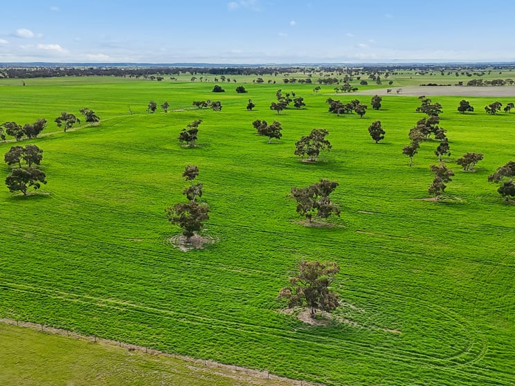 Click to view all images 103 & 314 Filmer Road Tintinara SA 5266 - Image 3
