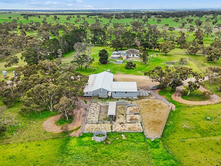 Click to view all images 103 & 314 Filmer Road Tintinara SA 5266 - Image 2