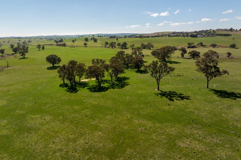 Click to view all images 264 Harrys Creek Road Boorowa NSW 2586 - Image 2