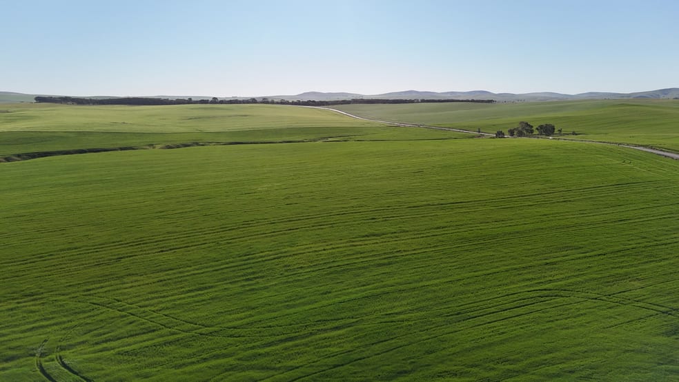 'Siegerts' Section 3 Goyder Highway Spalding SA 5454 - Image 1