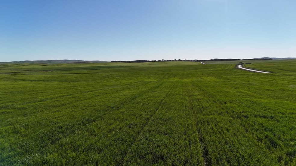 'Siegerts' Section 3 Goyder Highway Spalding SA 5454 - Image 2
