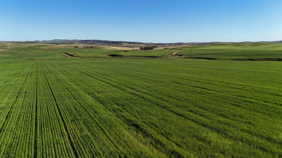 'Siegerts' Section 3 Goyder Highway Spalding SA 5454 - Image 3