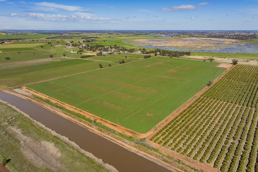 Click to view all images 77 Fivebough Road Leeton NSW 2705 - Image 2
