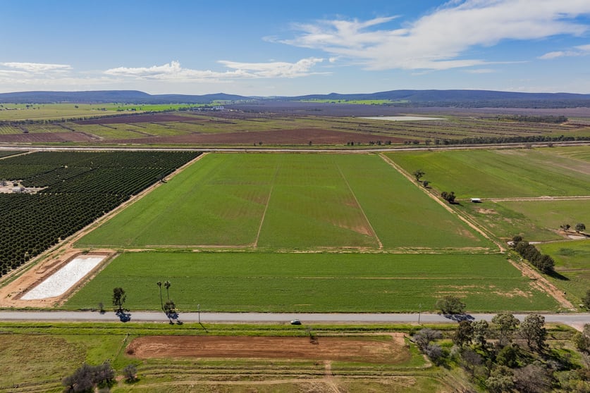 Click to view all images 77 Fivebough Road Leeton NSW 2705 - Image 3