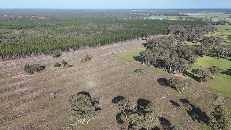 Click to view all images Lot 8 Bangham Road Bangham SA 5268 - Image 2