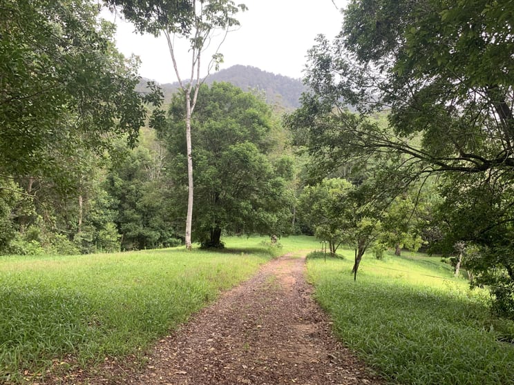 Click to view all images 1967 Kalang Road Kalang NSW 2454 - Image 3