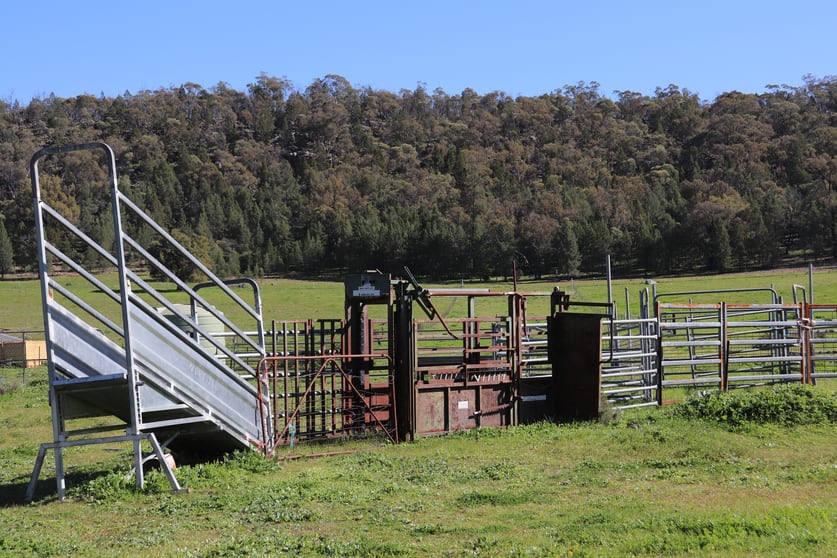 Click to view all images 1 Yarrangong Road Forbes NSW 2871 - Image 2