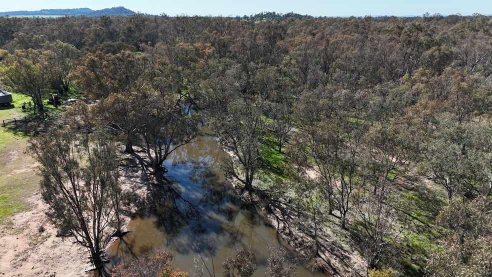 Click to view all images 1 Yarrangong Road Forbes NSW 2871 - Image 3