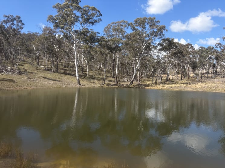 Click to view all images Lot 13 Rydal Road Mount Lambie NSW 2790 - Image 3