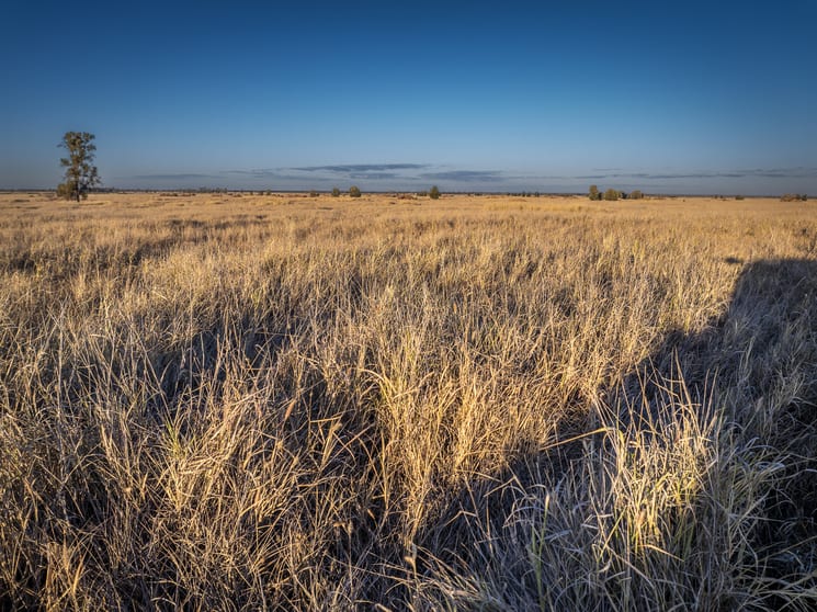 Click to view all images 1310 Humbug Road The Gums QLD 4406 - Image 3