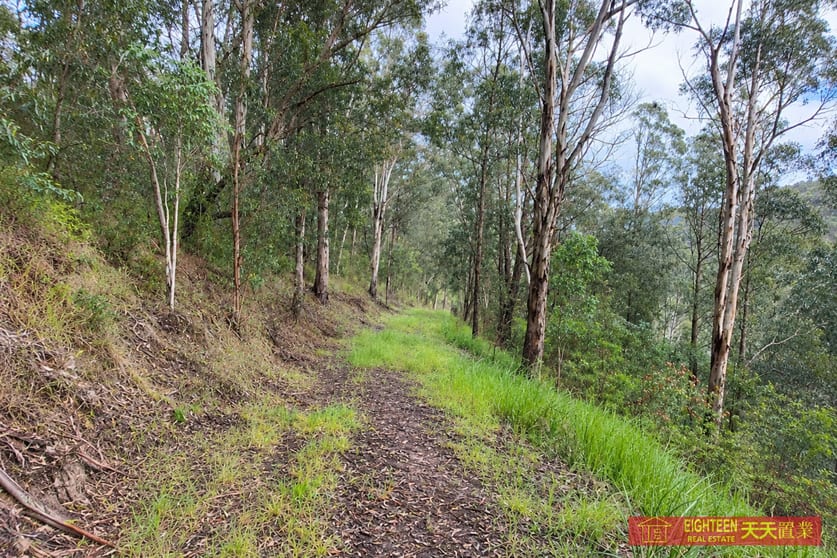 8416 Oxley Hwy Mount Seaview NSW 2446 - Image 3