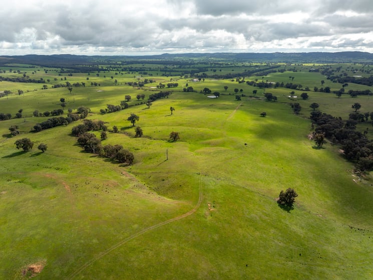 Click to view all images 520 Woolshed Lane Wagga Wagga NSW 2650 - Image 1