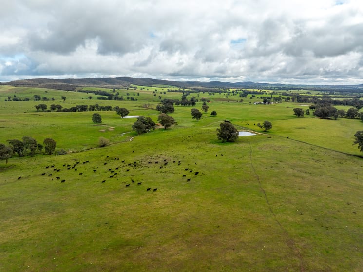 Click to view all images 520 Woolshed Lane Wagga Wagga NSW 2650 - Image 2
