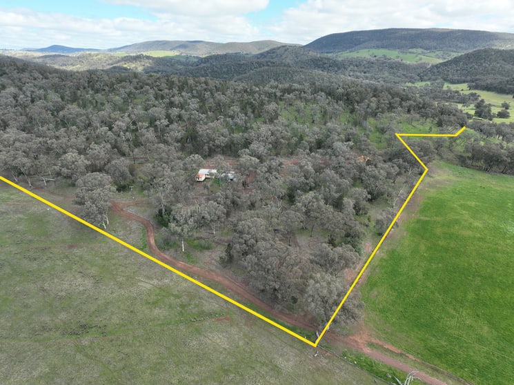 'Fox Hill' 573 Blathery Creek Road Neurea NSW 2820 - Image 2