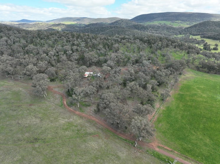 'Fox Hill' 573 Blathery Creek Road Neurea NSW 2820 - Image 3