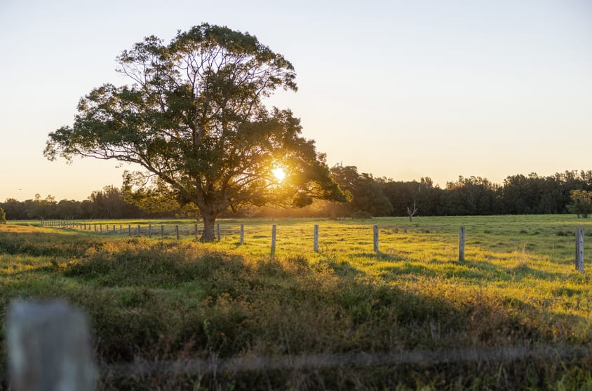 17301 Pacific Highway Cundletown NSW 2430 - Image 2