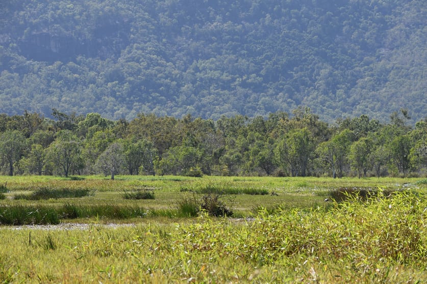 Click to view all images 67 Maconachies Road Majors Creek QLD 4816 - Image 2