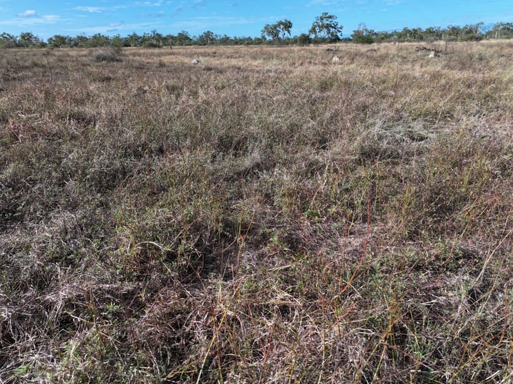 Click to view all images 67 Maconachies Road Majors Creek QLD 4816 - Image 3