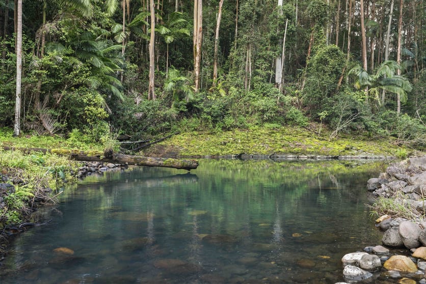 Click to view all images 454 Hopkins Creek Road Hopkins Creek NSW 2484 - Image 1