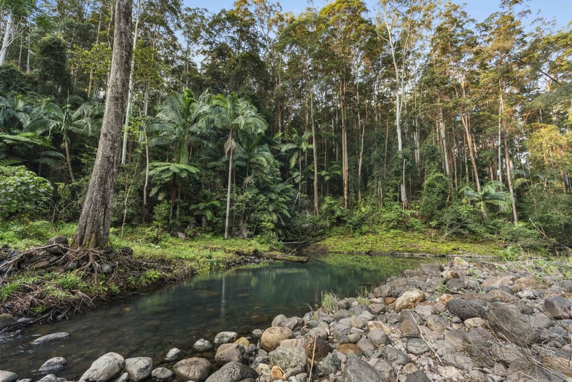 Click to view all images 454 Hopkins Creek Road Hopkins Creek NSW 2484 - Image 2