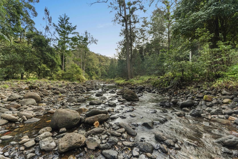 Click to view all images 454 Hopkins Creek Road Hopkins Creek NSW 2484 - Image 3
