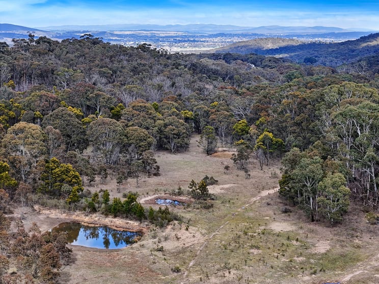 1026 Taralga Road, Tarlo Goulburn NSW 2580 - Image 3
