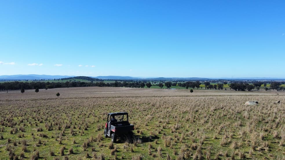 Vera Farm Loch Lomond Road Gooloogong NSW 2805 - Image 1