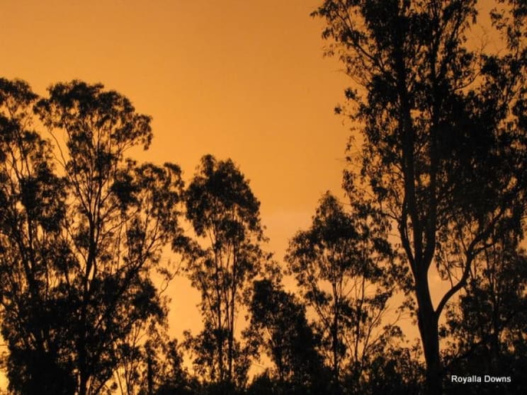 Tara QLD 4421 - Image 3