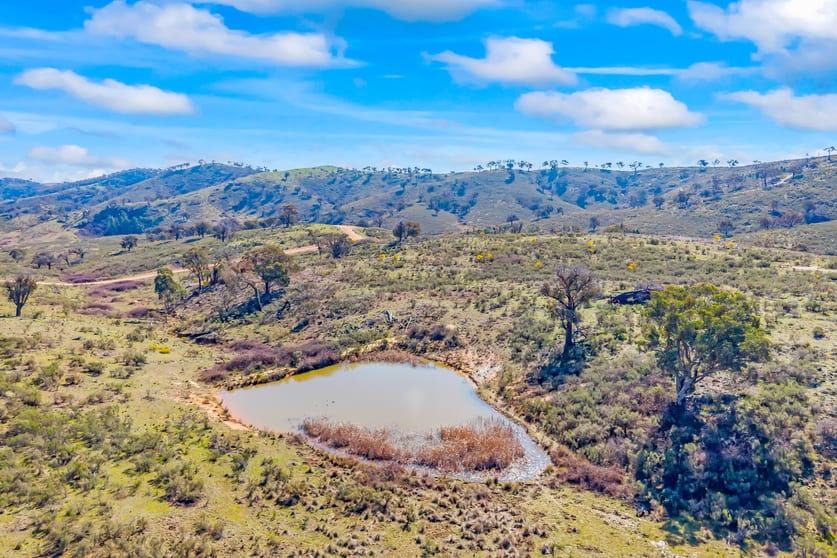Click to view all images 1092 Gowan Road Lower Lewis Ponds NSW 2800 - Image 3
