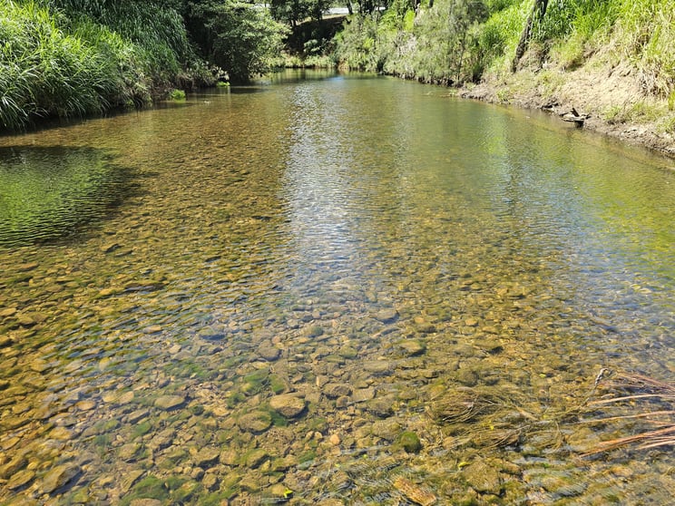 Click to view all images 162 East Funnel Creek Road Sarina Range QLD 4737 - Image 3