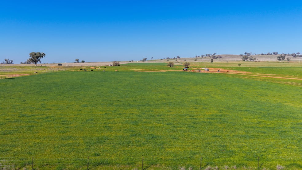 387 Soldiers Settlement Road Tamworth NSW 2340 - Image 3